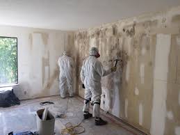 Trusted Longview, WA Mold Prevention & Removal  Experts